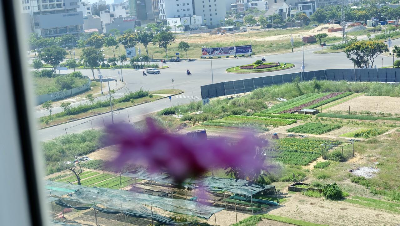 Thanh Ha Hotel 다낭 외부 사진